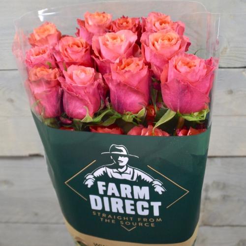 Rosa grootbloemig overig