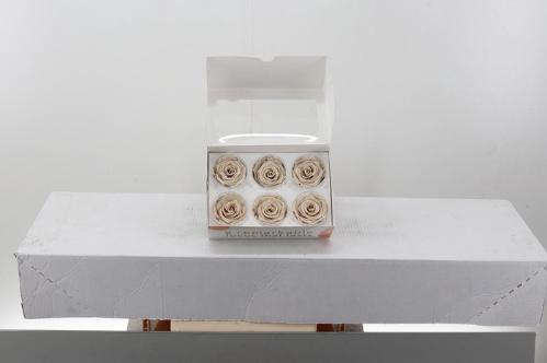 Rosa grootbloemig kleurbehandeld H%