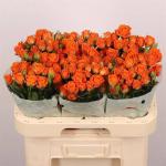b4211eca-696a-4ddd-99d7-cb20b7e77267.jpg