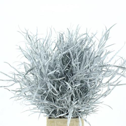 Decoratiegroen kleurbehandeld per bos H%