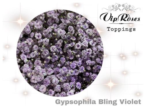 Gypsophila overig kleurbehandeld H%