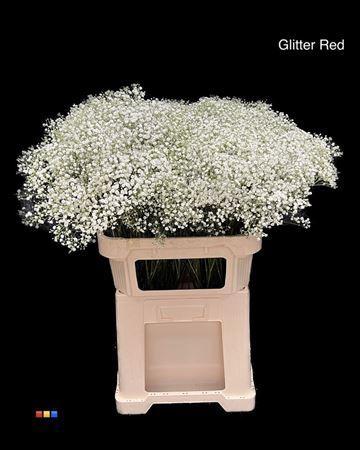 Gypsophila overig kleurbehandeld H%