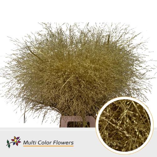 Siergras kleurbehandeld H%