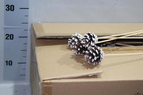 Dennenappel groot op stok H%