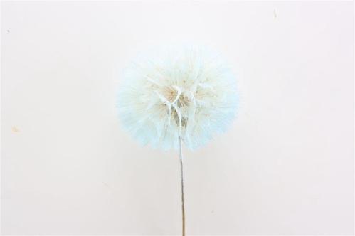 Decoratiegroen kleurbehandeld per bos H%