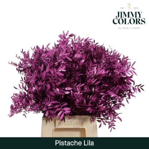 Pistacia kleurbehandeld H%