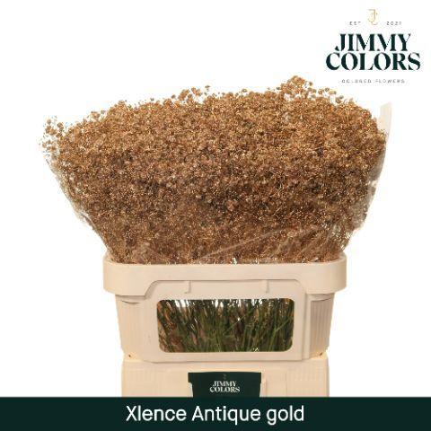 Gypsophila overig kleurbehandeld H%