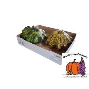 Cucurbita pepo 'Flying Saucer'