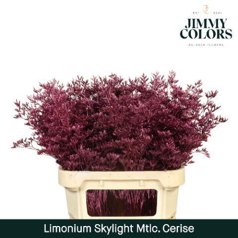 Limonium overig kleurbehandeld H%