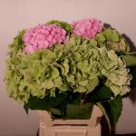 b70cf0a3-d793-4ba8-9e3a-4531b5938684.jpg