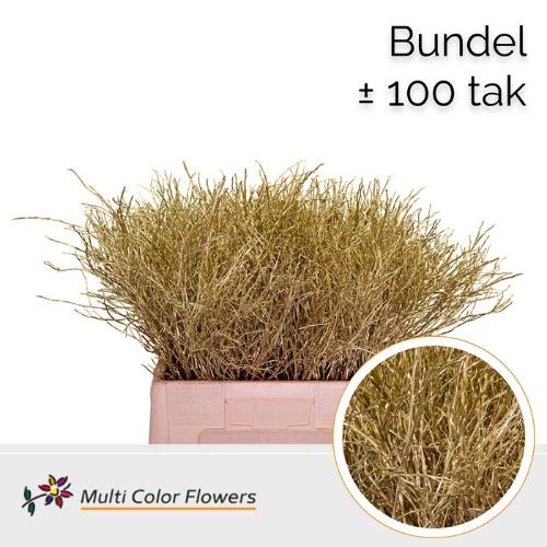 Vaccinium kleurbehandeld H%