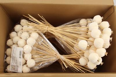 Huis en tuindecoratie overig H%