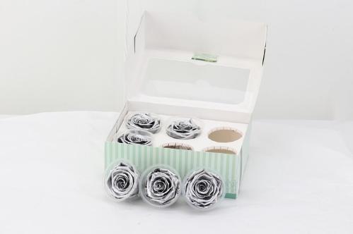 Rosa grootbloemig kleurbehandeld H%