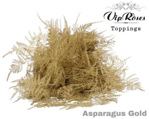 Asparagus overig kleurbehandeld H%