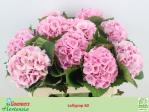 b94fe8c8-8236-4adf-9d3c-ded4a8f20de7.jpg