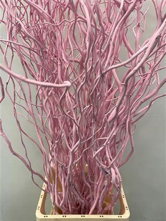 Salix kleurbehandeld H%