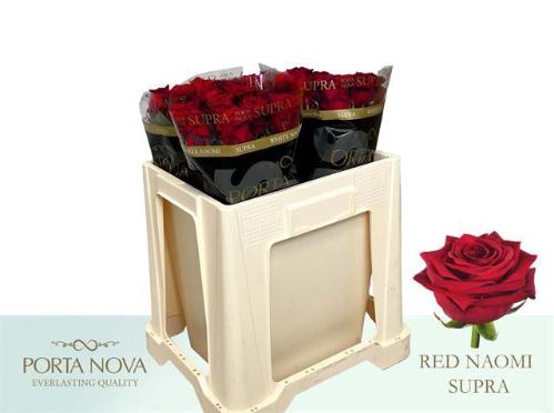 Rosa grootbloemig Red Naomi!