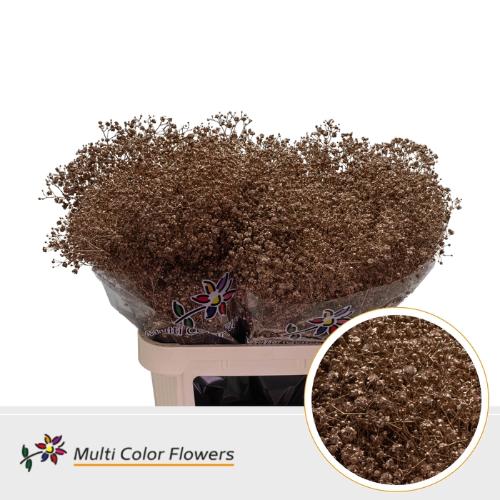 Gypsophila overig kleurbehandeld H%