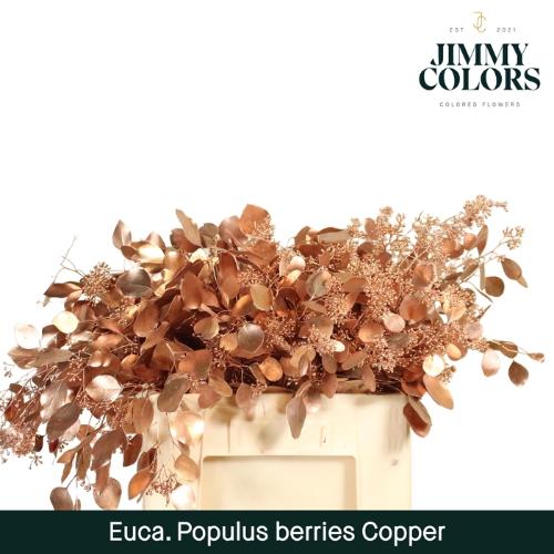 Eucalyptus kleurbehandeld per bos H%