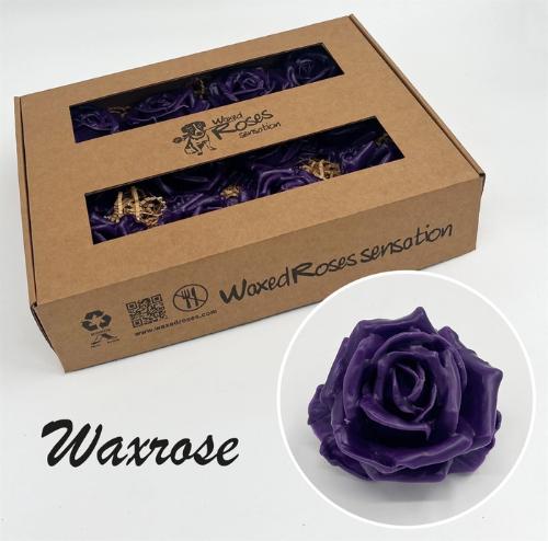 Rosa grootbloemig gewaxt H%