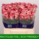 bb2394fd-7dcf-432e-bfbd-edc6c4297c60.jpg