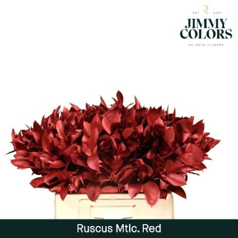 Ruscus kleurbehandeld H%