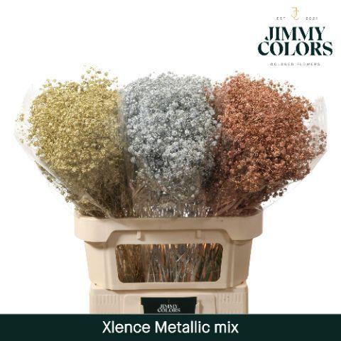 Gypsophila overig kleurbehandeld H%