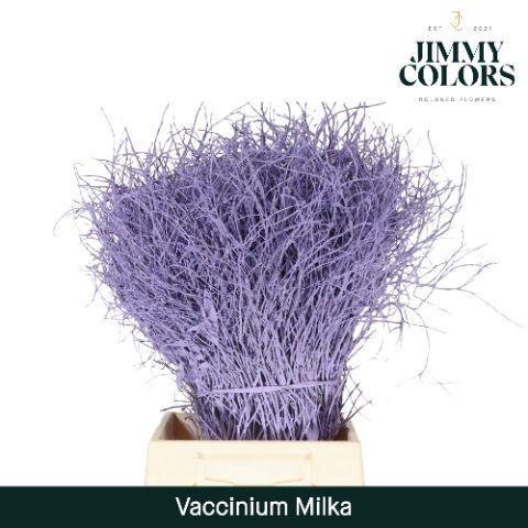 Vaccinium kleurbehandeld H%