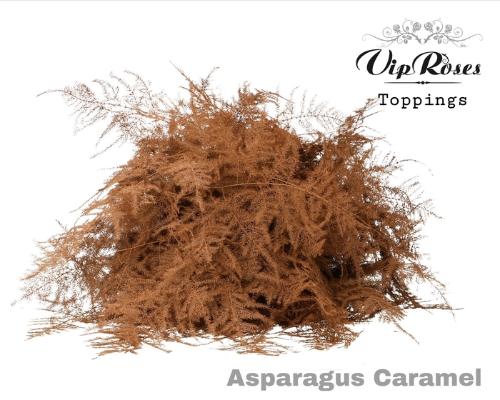 Asparagus overig kleurbehandeld H%