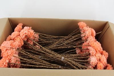 Huis en tuindecoratie overig H%