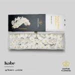 bb9cf202-5a25-4389-abe9-262a707ee8a4.jpg
