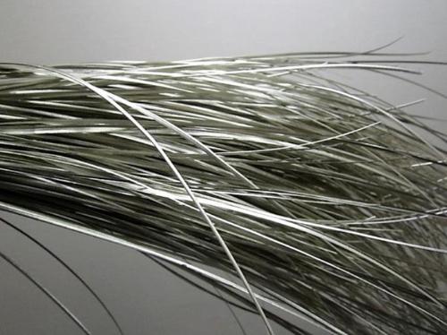 Xerophyllum tenax Beargrass kleurbehandeld per bos H%