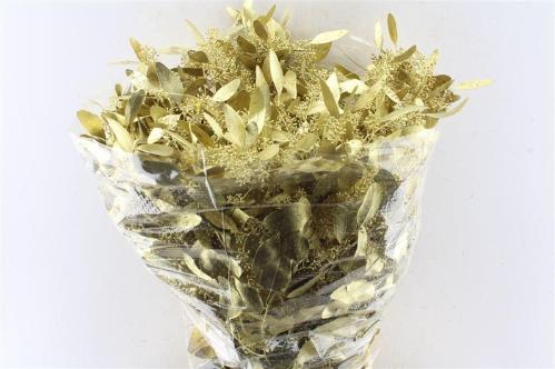 Eucalyptus kleurbehandeld per bos H%