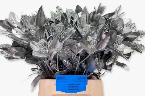 Skimmia per bos overig kleurbehandeld H%