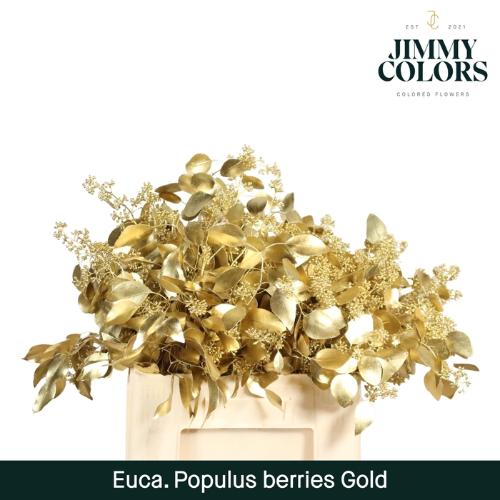 Eucalyptus kleurbehandeld per bos H%