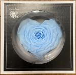 bc298e15-effd-4a9b-84f3-7bafae5b68b1.jpg