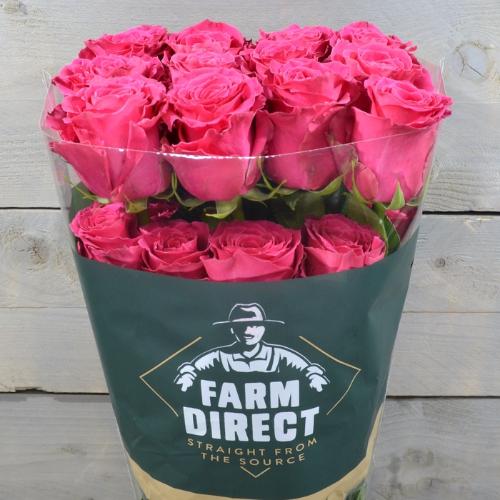 Rosa grootbloemig overig