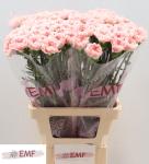 bc803029-ec95-4453-b6b1-fa783fb6a33d.jpg