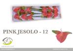 bc97fb4e-9967-430d-b275-14f21ded6416.jpg
