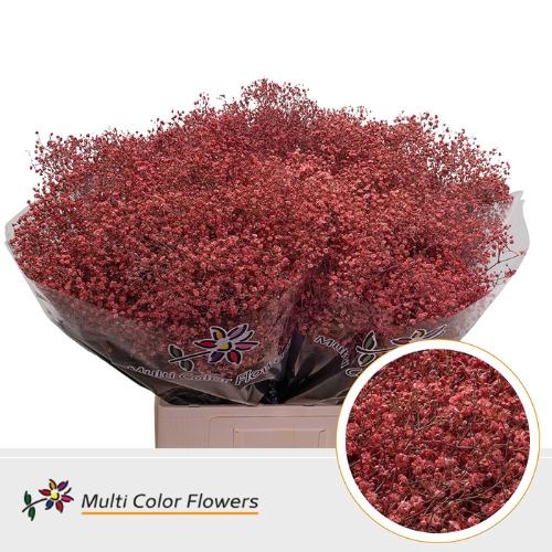 Gypsophila overig kleurbehandeld H%