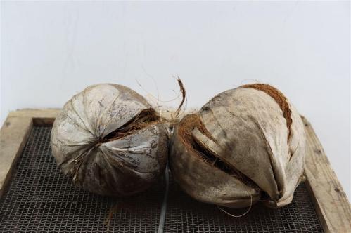 Huis en tuindecoratie overig H%