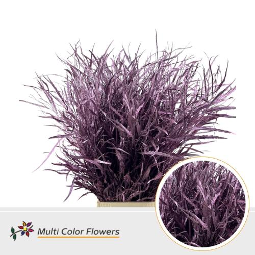 Decoratiegroen kleurbehandeld per bos H%