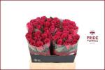bd214303-71cc-4c16-8f39-5f88c3cf981e.jpg