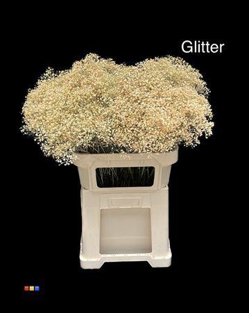 Gypsophila overig kleurbehandeld H%