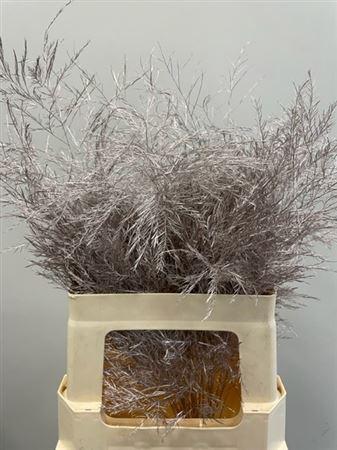 Decoratiegroen kleurbehandeld per bos H%