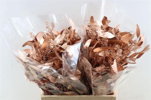 Eucalyptus kleurbehandeld per bos H%