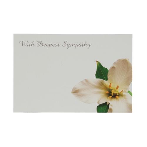 Labels Cards GB 9*6cm x50 W.Deep.Symp.