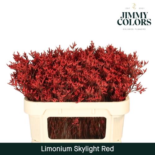 Limonium overig kleurbehandeld H%