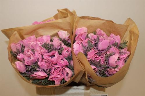 Snijbloemen overig kleurbehandeld H%