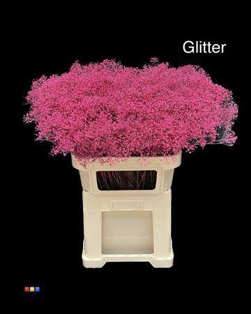 Gypsophila overig kleurbehandeld H%